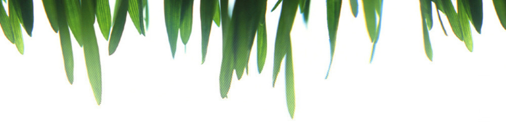 top_bar3.jpg